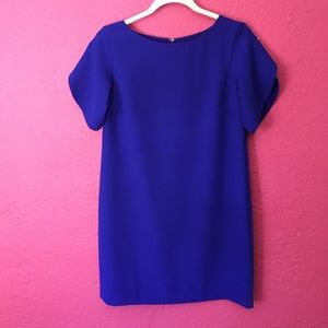 French Connection Size 4 Blue Dress